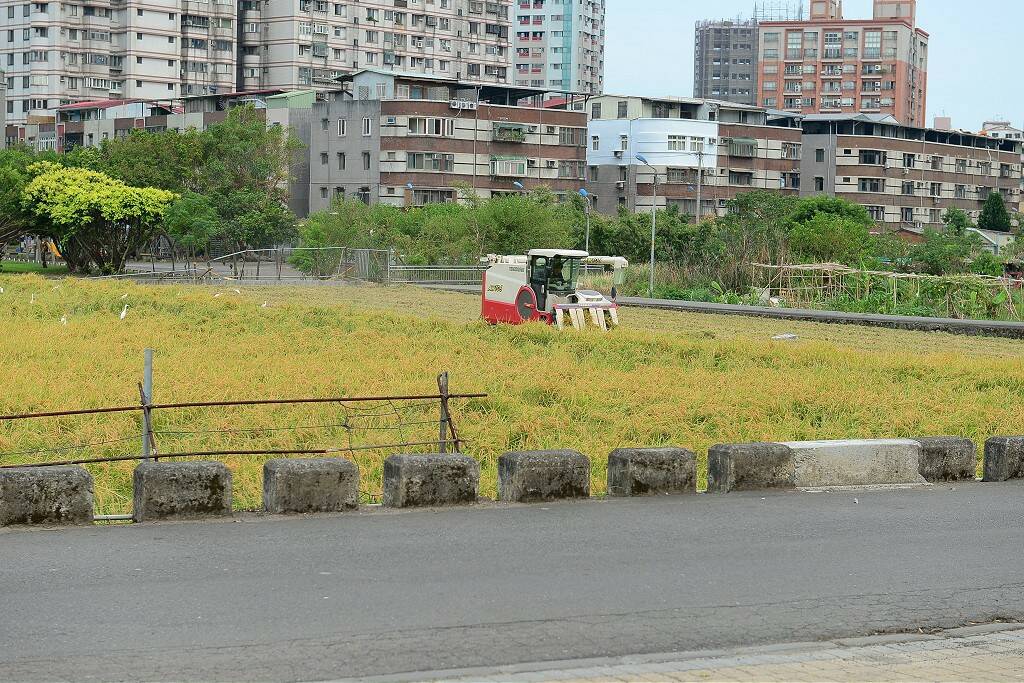 一匹狼的田