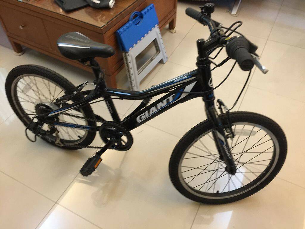 giant revel 20