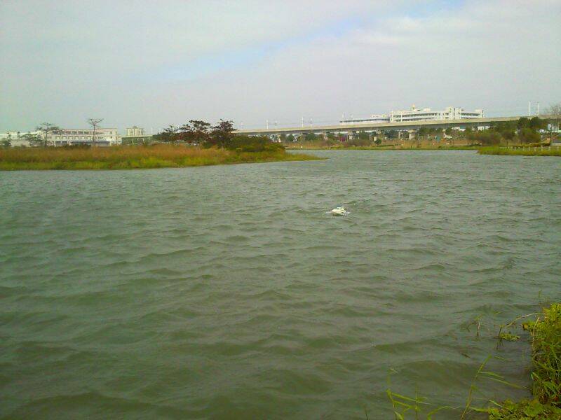 201101151166.jpg