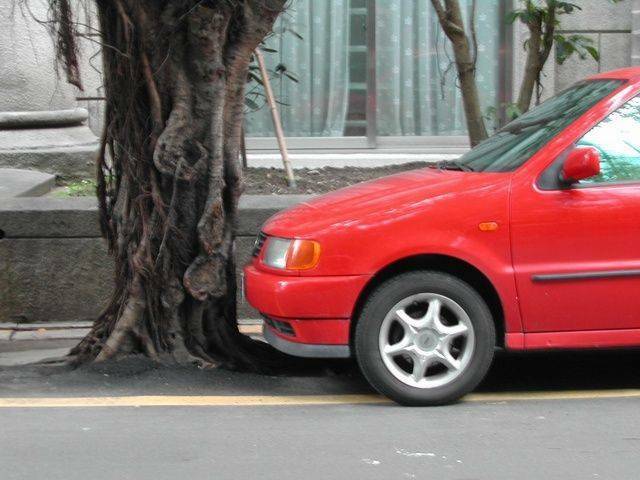 0022.jpg