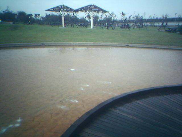 11-01-07_0906.jpg