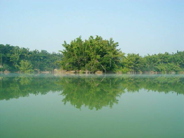 1100815710.jpg