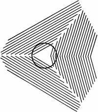 175_133864.JPG