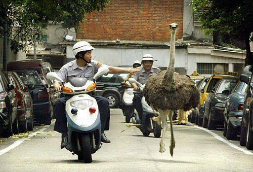 ㄟ~路邊停車.......