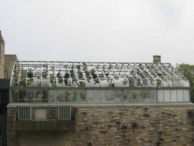 2005171040576003718_rs.jpg