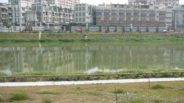 P1000715.jpg