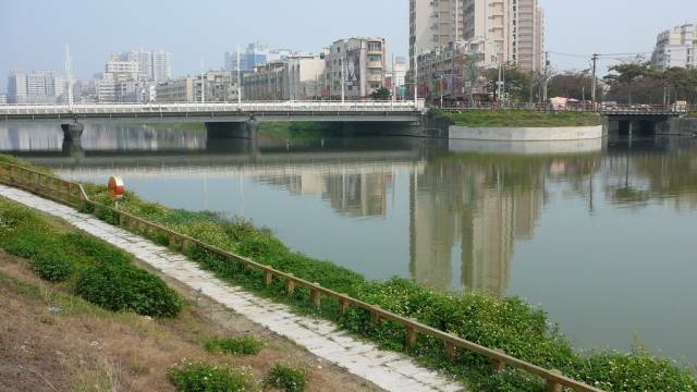 P1000730.jpg