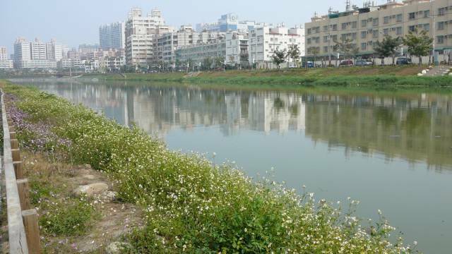 P1000701.jpg