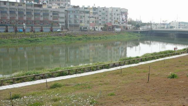 P1000713.jpg