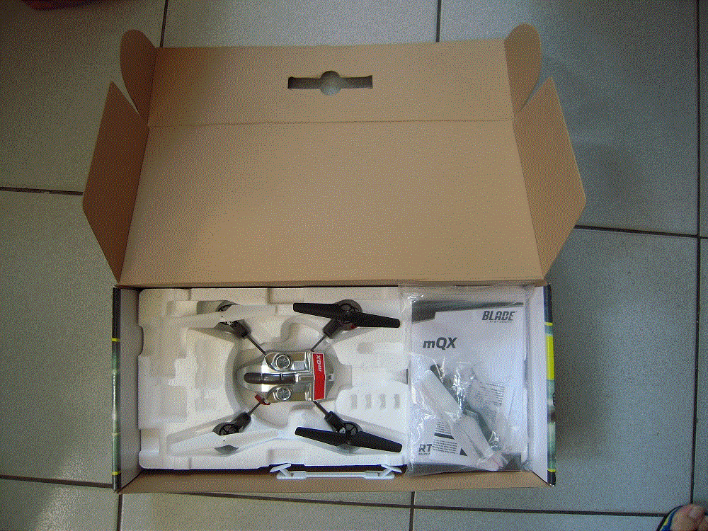 DSCN2517-1000.gif