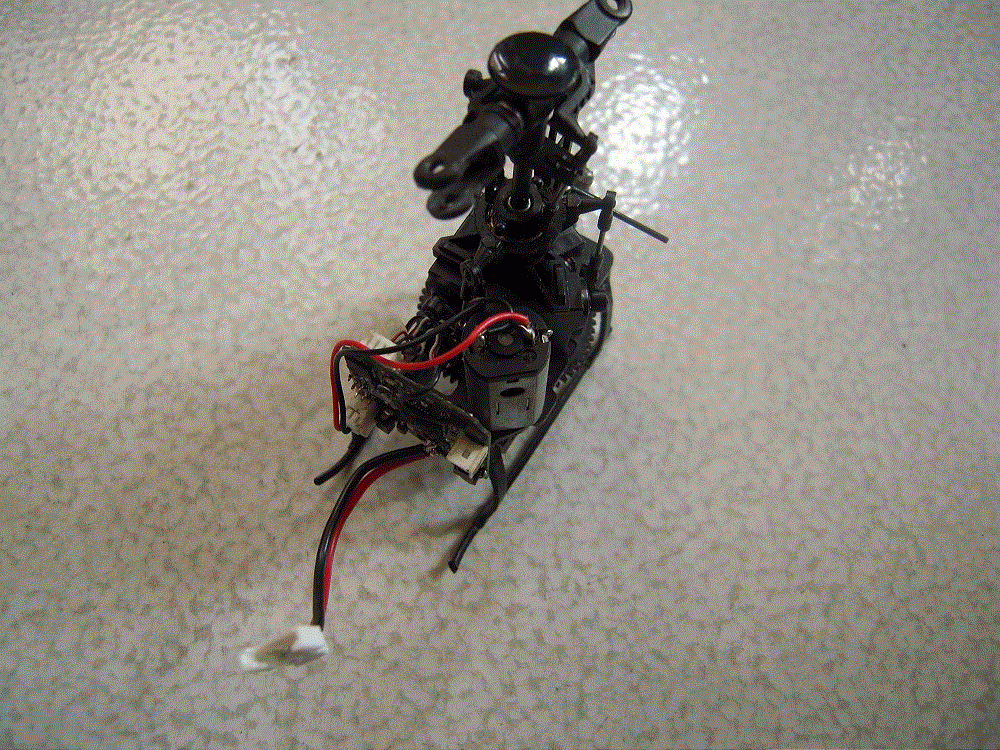 DSCN2526-1000.gif