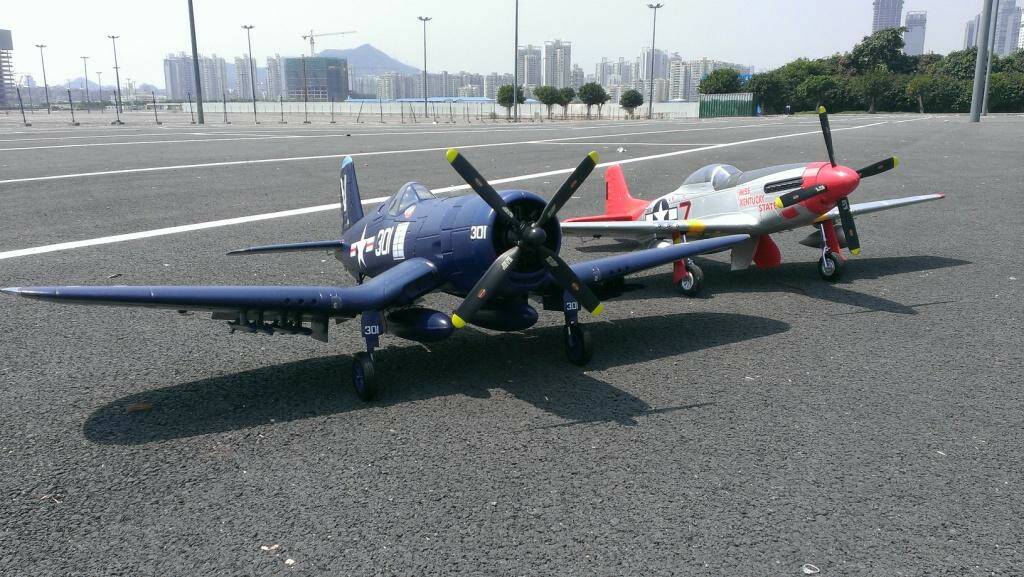 IMAG0795.jpg