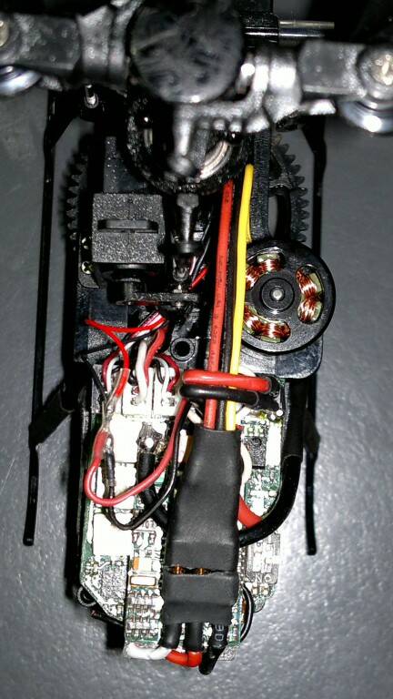 2013-03-07-290_1.jpg