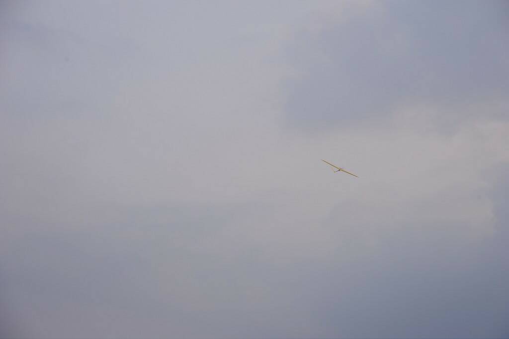 DSC_3737-1024.jpg