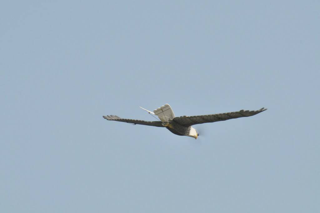 2012 009_調整大小.jpg