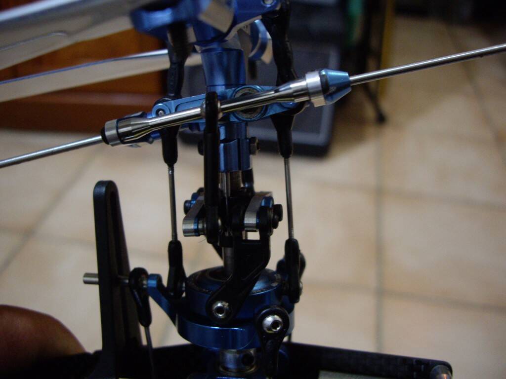 IMGP6783.JPG