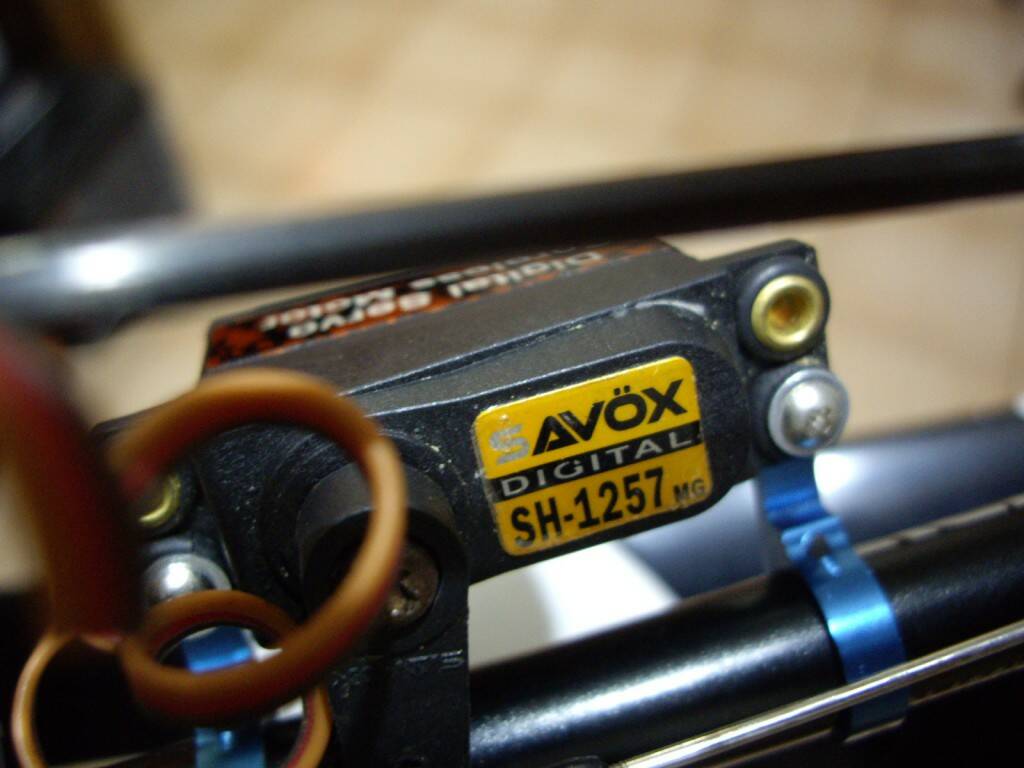 IMGP6799.JPG