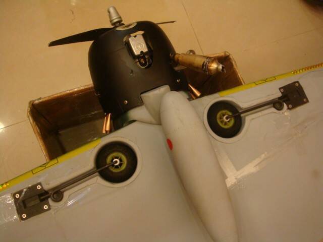 DSC08351.JPG