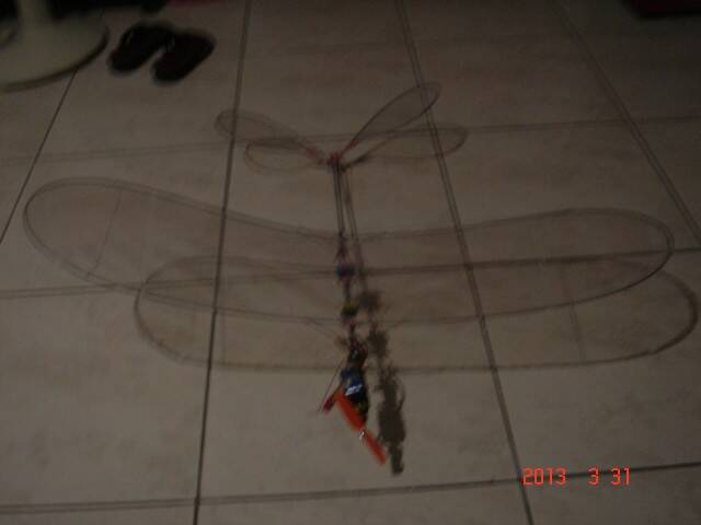 DSC08226.JPG