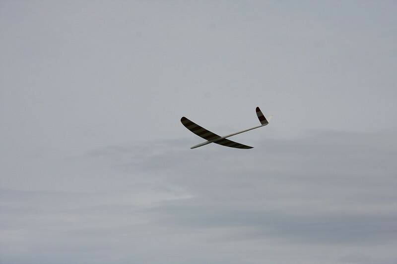 IMG_7761-800.jpg