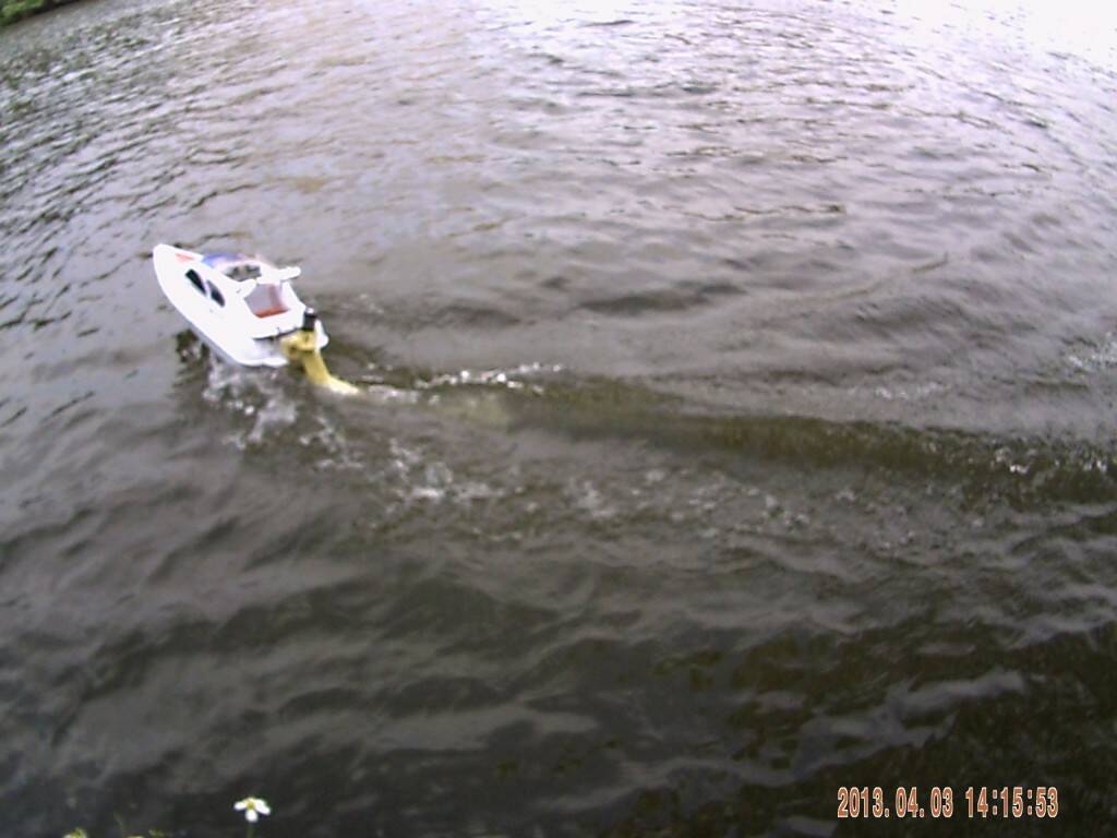 PICT0039.JPG