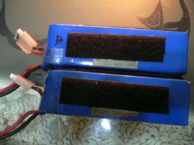 照片 235.jpg