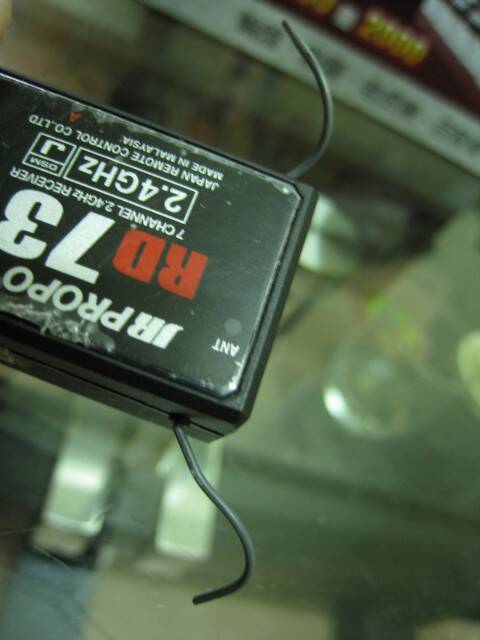 008.JPG