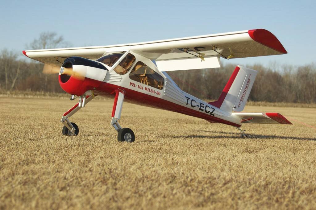 DSC_1102.jpg