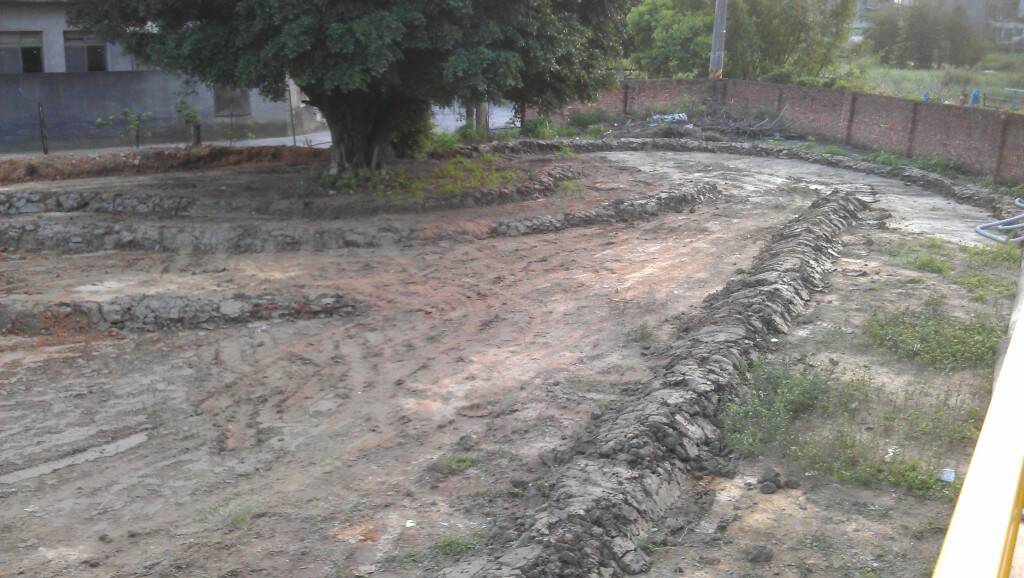 IMAG0779.jpg
