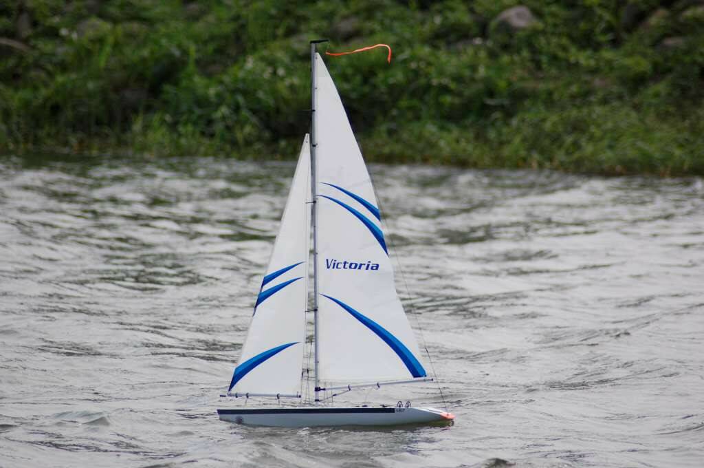 DSC_6875-1024.jpg