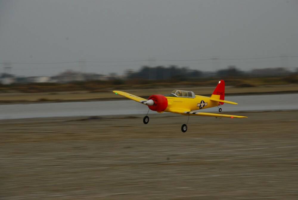 DSC_7082-1000.jpg