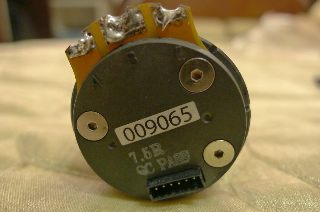 P1010455j.jpg