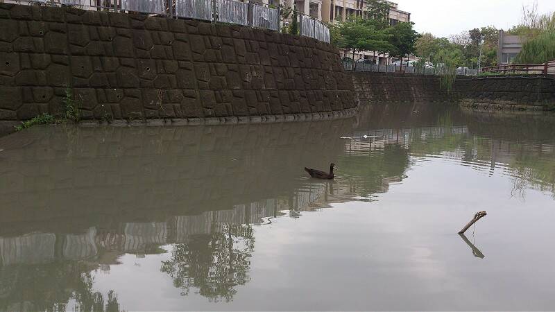 IMG_20130413_085319-800.jpg
