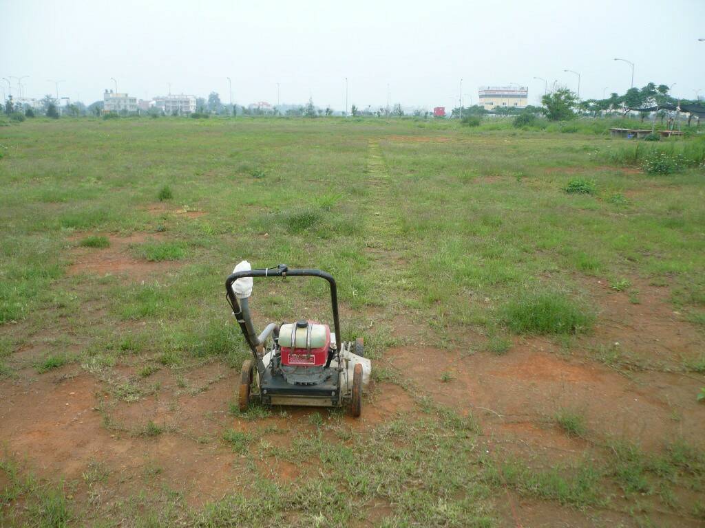 P1170013.JPG