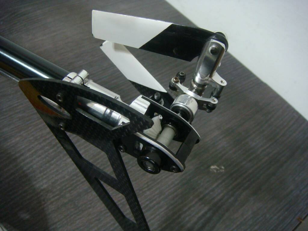 DSC05298.JPG