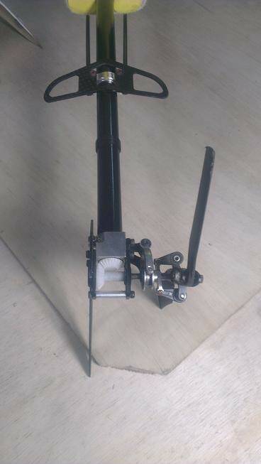 IMAG0286.jpg
