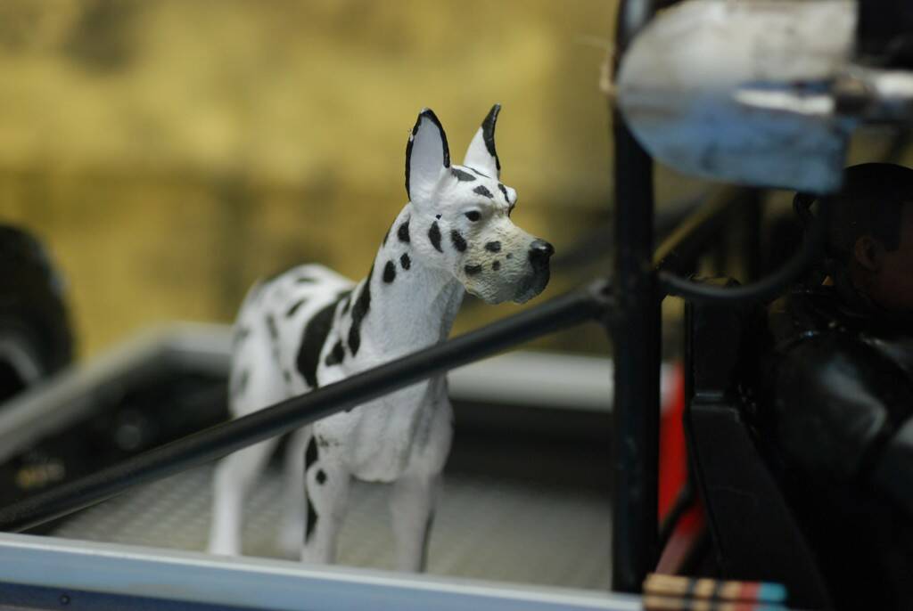 DSC_3606.JPG