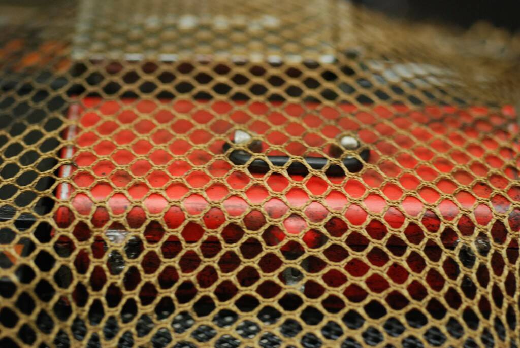 DSC_3635.JPG