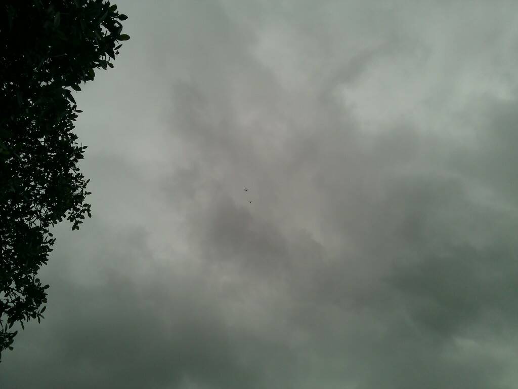 WP_001496.jpg
