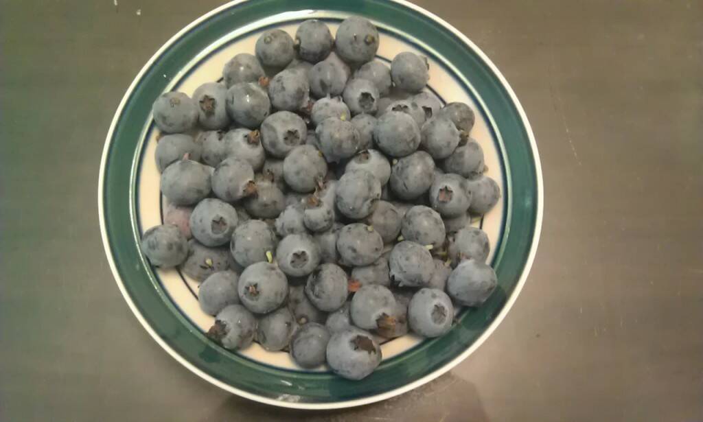 IMAG0226.jpg