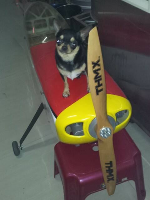 20130427_180721-4.jpg