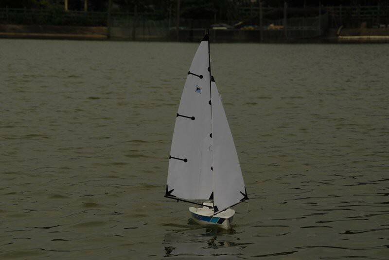 m_DSC_6572.JPG