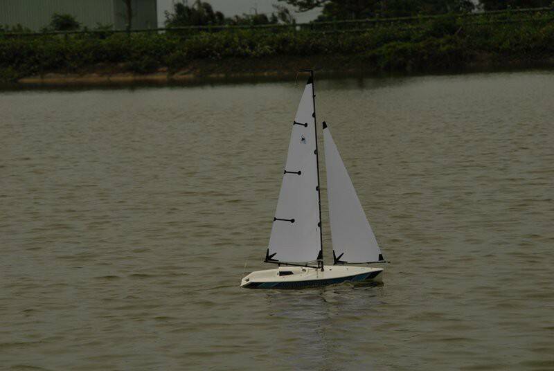 m_DSC_6598.JPG
