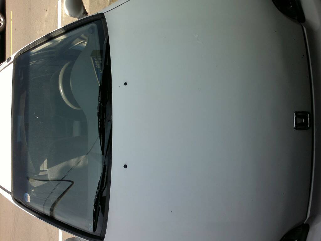 20130506742.jpg