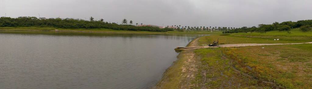 IMAG0132.jpg