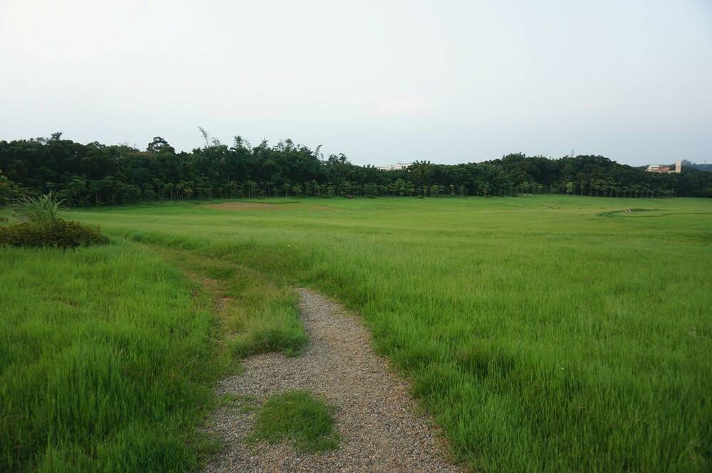 DSC01178.JPG