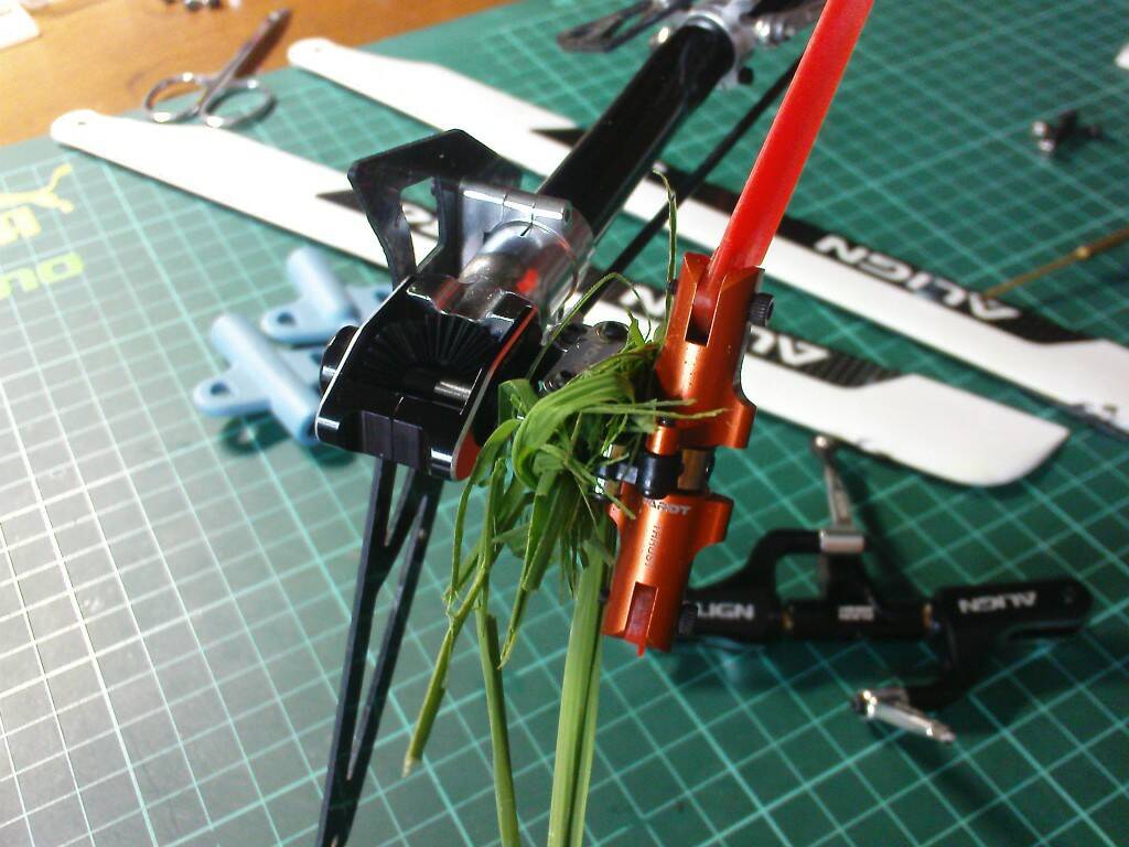 DSC02944.JPG