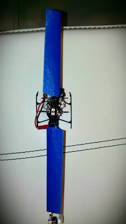 IMAG1157_1.jpg