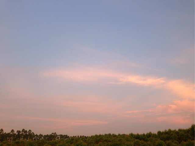 3289376707@chatroomliang770618620111918.jpeg