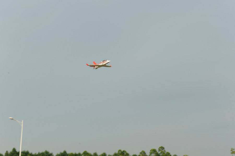 DSC_6137.jpg